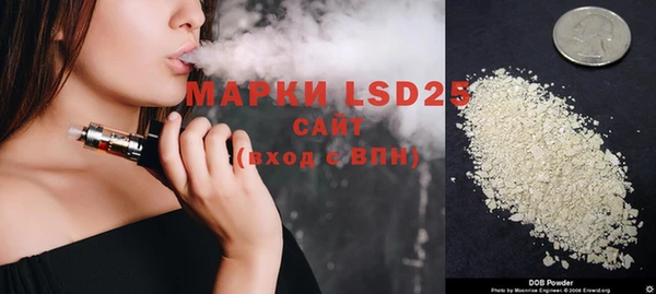 амф Богданович
