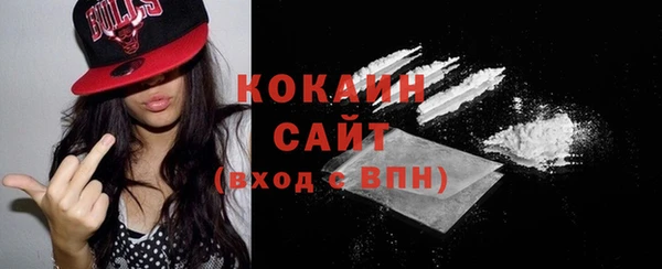 амф Богданович