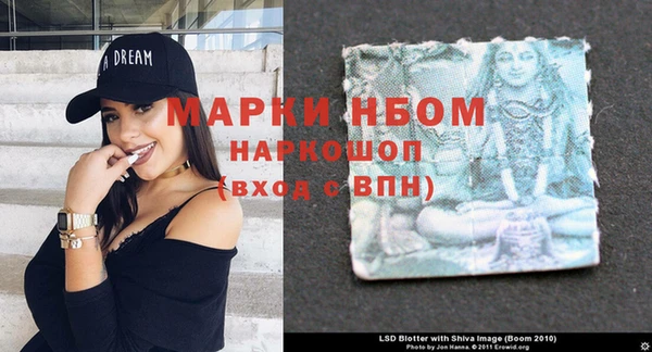 амф Богданович
