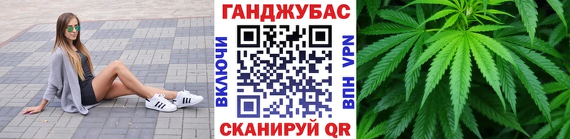 Бошки Шишки план  Дятьково 